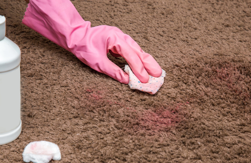 How to Deep Clean Carpet At Home?