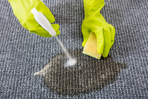 How To Get Rid Of Stains On Office Carpet? 