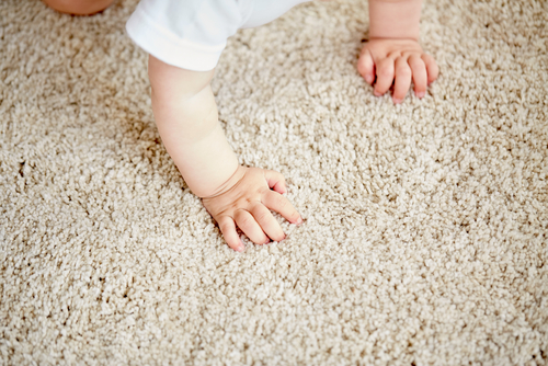 What Is Lurking Inside Your Carpet?