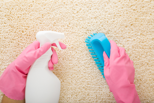 Can cleaning carpet help with allergies?