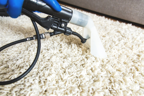 Will Carpet Shampooing Get Rid Of Mold?