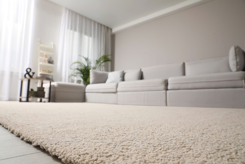 Does Carpet Cleaning Shrink Your Carpets