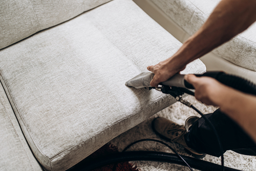 Upholstery Maintenance Tips 101
